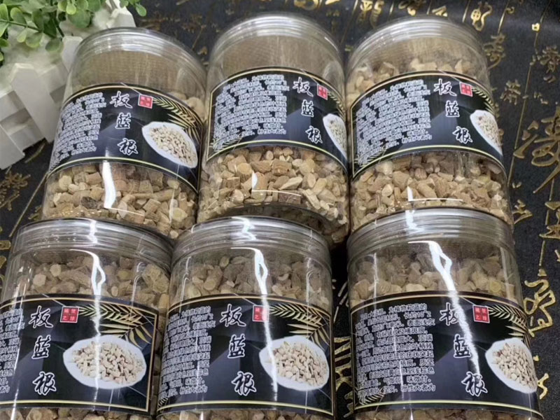 板蓝根