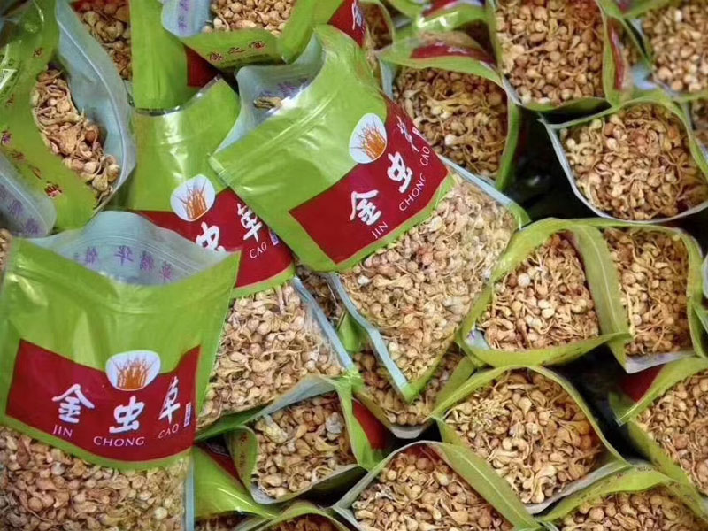 虫草花